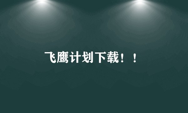 飞鹰计划下载！！