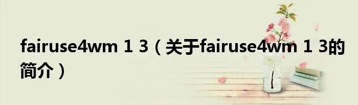 fairuse4wm 1 3（关于fairuse4wm 1 3的简介）