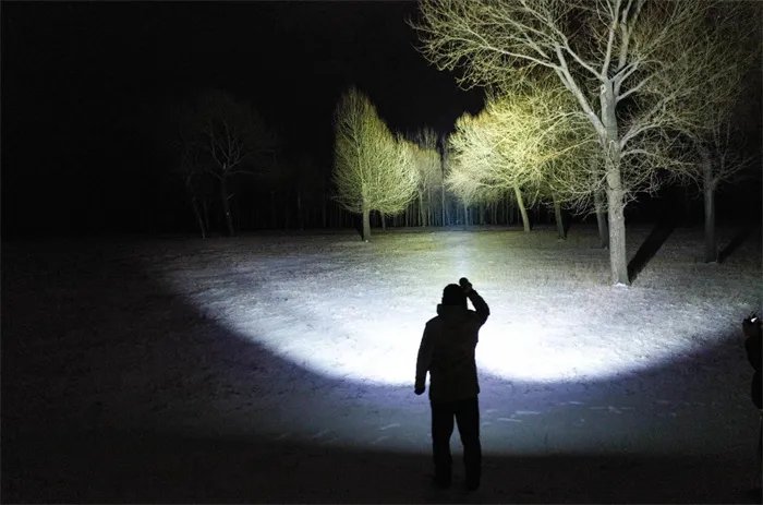 菲尼克斯之光事件