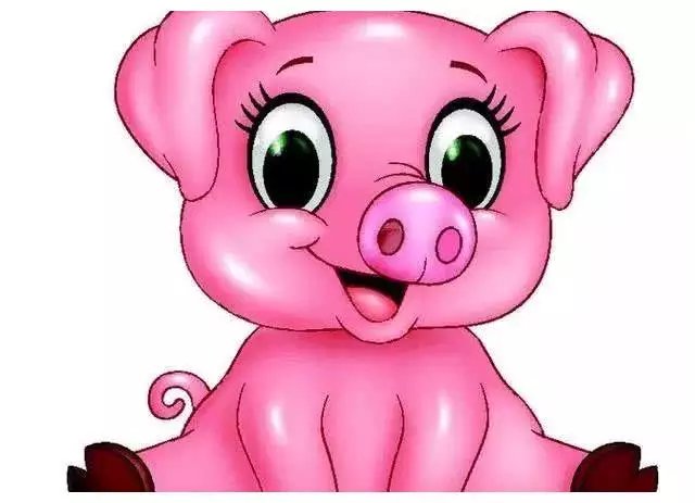 71年属猪48岁命运，1971年属猪是什么命 1971年出生人的命运