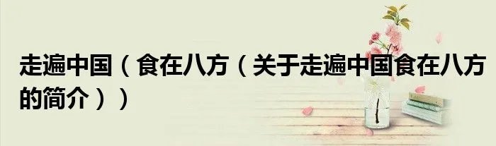 走遍中国（食在八方（关于走遍中国食在八方的简介））