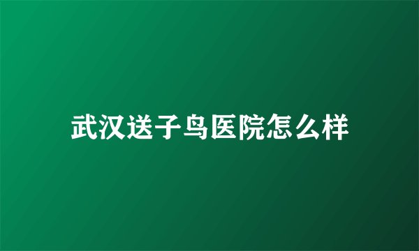 武汉送子鸟医院怎么样