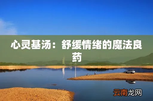 心灵基汤：舒缓情绪的魔法良药