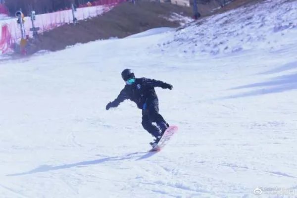 中美混血少女谷爱凌为北京冬奥加油，还有哪些运动健儿为冬奥加油？