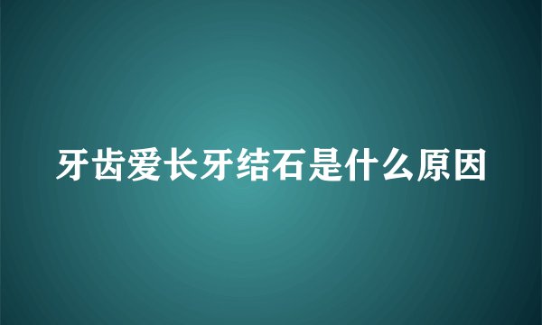 牙齿爱长牙结石是什么原因