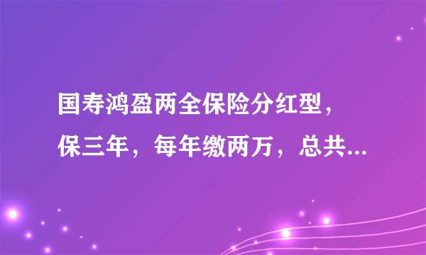 国寿鸿盈两全保险分红型， 保三年，每年缴两万，总共六年。这个保险到底是好不好的？