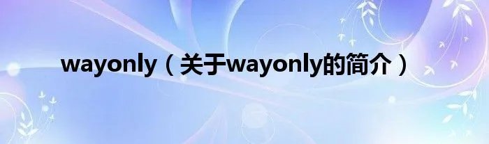 wayonly（关于wayonly的简介）