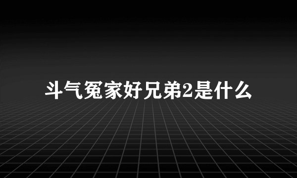 斗气冤家好兄弟2是什么