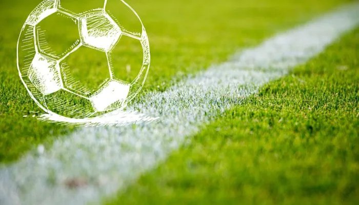 2022世界杯喀麦隆队阵容 喀麦隆2022卡塔尔世界杯大名单