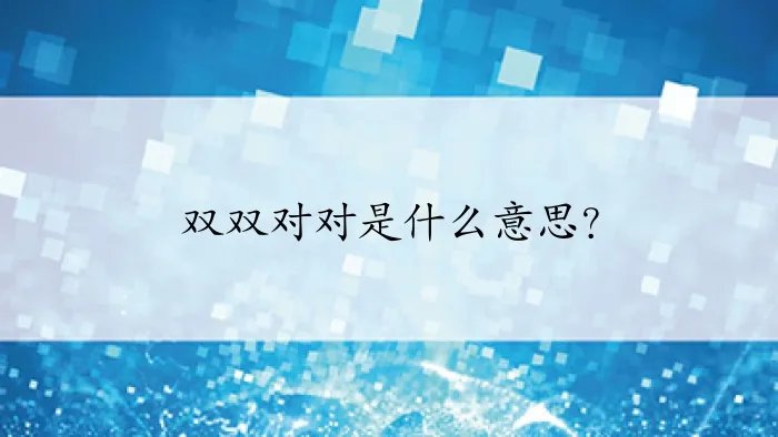 双双对对是什么意思？