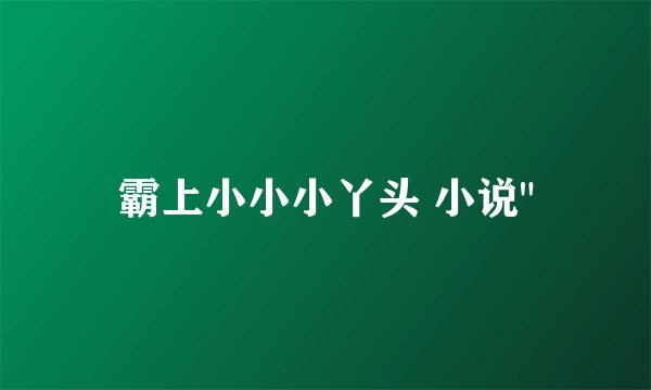 霸上小小小丫头 小说