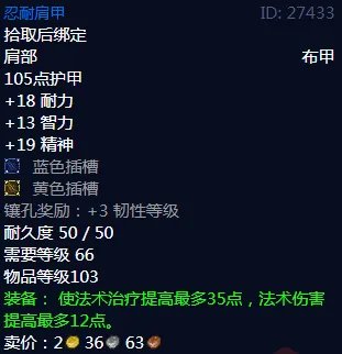 魔兽世界忍耐肩甲属性