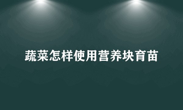 蔬菜怎样使用营养块育苗