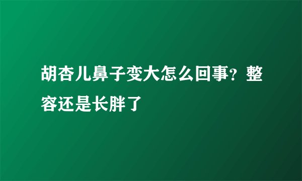 胡杏儿鼻子变大怎么回事？整容还是长胖了