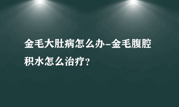 金毛大肚病怎么办-金毛腹腔积水怎么治疗？