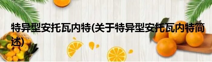 特异型安托瓦内特(关于特异型安托瓦内特简述)