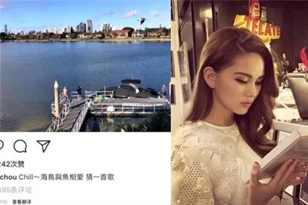 周杰伦昆凌看海鸟 澳洲喂天鹅悠闲自得