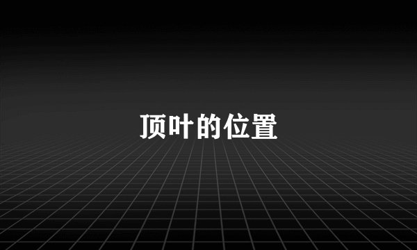 顶叶的位置