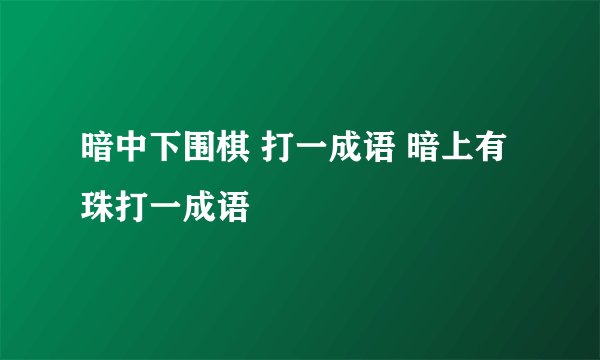 暗中下围棋 打一成语 暗上有珠打一成语