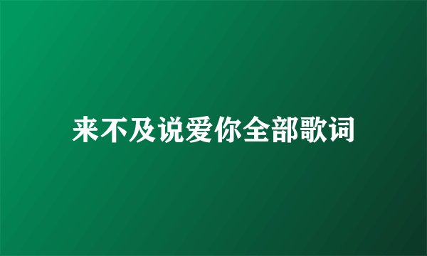 来不及说爱你全部歌词