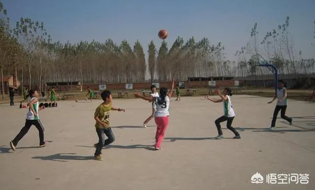 对山东省中小学教师绩效工资的改革，你怎么看？