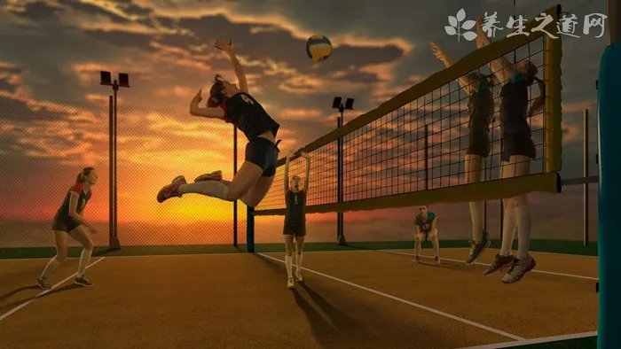 东京奥运会中国女排首场比赛阵容 历届奥运会女排冠军名单