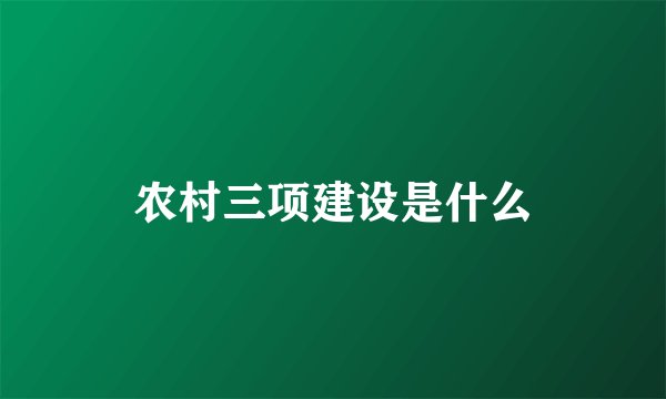 农村三项建设是什么