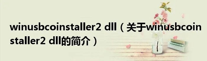 winusbcoinstaller2 dll（关于winusbcoinstaller2 dll的简介）