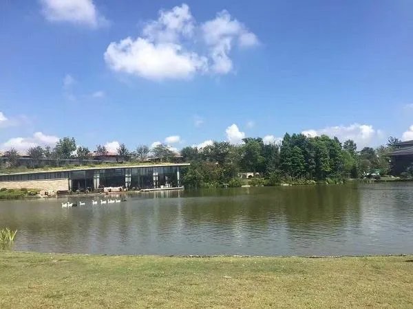 上海西沙湿地公园怎么样，好玩嘛？