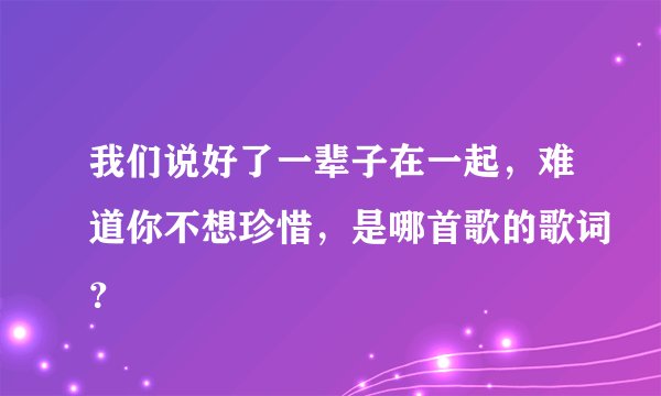 我们说好了一辈子在一起，难道你不想珍惜，是哪首歌的歌词？