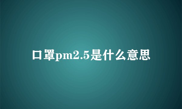口罩pm2.5是什么意思