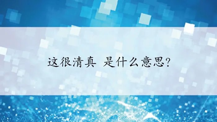 这很清真 是什么意思？