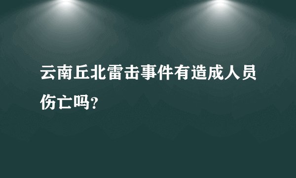 云南丘北雷击事件有造成人员伤亡吗？