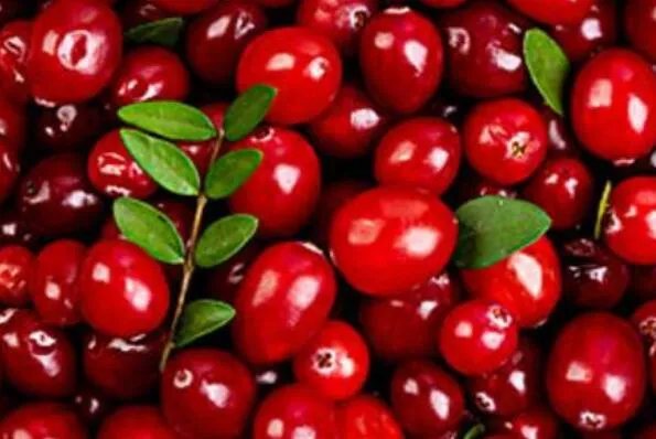 美国十大特产 鲍鱼果上榜,第三是滋补佳品