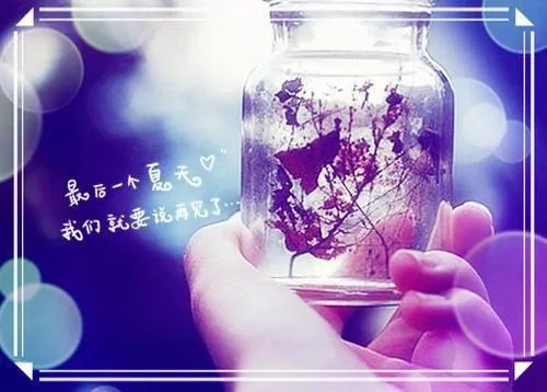 云笑薄祁渊王云卿小说 缘定来生不相负免费阅读