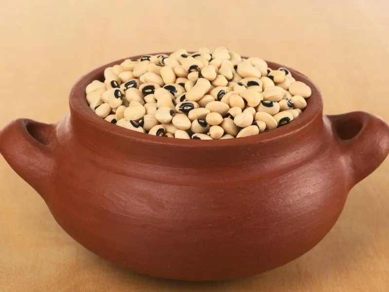 青黄豆的功效与作用