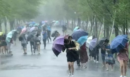 随州暴雨，逝者曾给丈夫发诀别短信，突遭暴雨天气该如何自救？