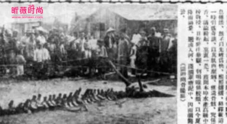 村民修路竟然意外挖出千年真龙（组图）