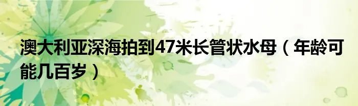澳大利亚深海拍到47米长管状水母（年龄可能几百岁）