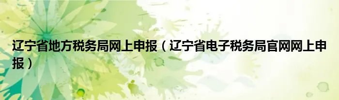辽宁省地方税务局网上申报（辽宁省电子税务局官网网上申报）