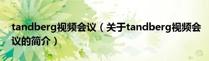 tandberg视频会议（关于tandberg视频会议的简介）