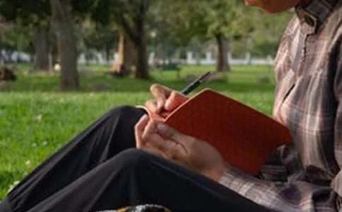 绿叶对根的情意作文