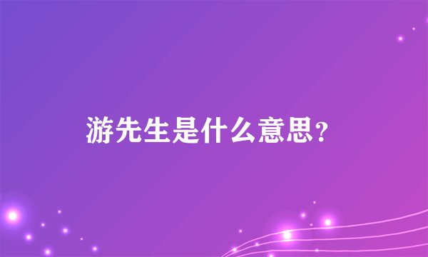 游先生是什么意思？