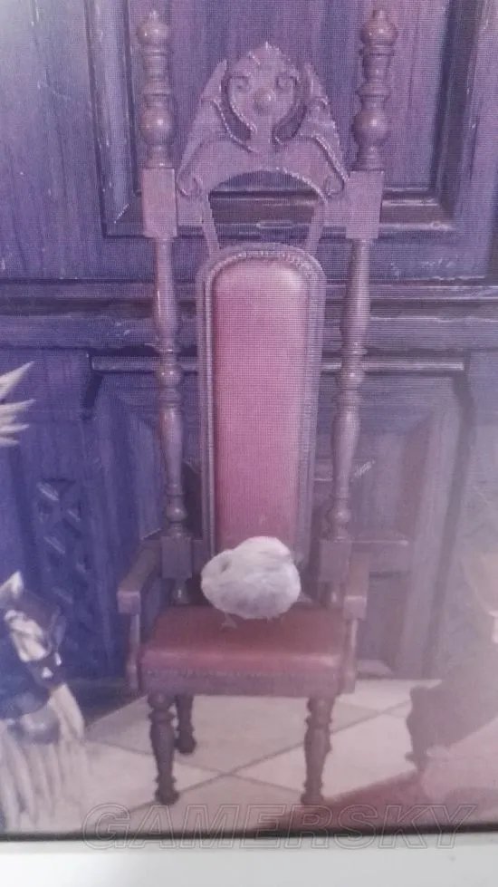 《怪物猎人世界》快速抓幻鸟方法分享 幻鸟怎么抓