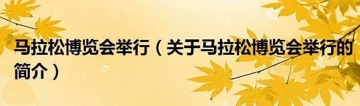马拉松博览会举行（关于马拉松博览会举行的简介）