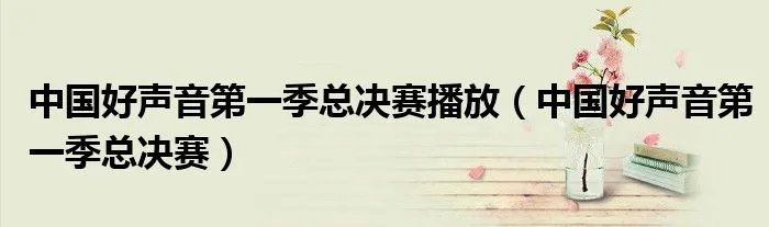 中国好声音第一季总决赛播放（中国好声音第一季总决赛）
