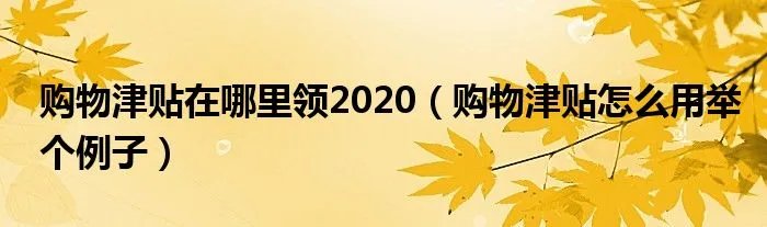 购物津贴在哪里领2020（购物津贴怎么用举个例子）