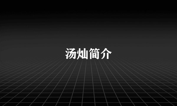 汤灿简介
