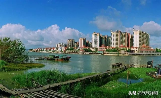 深圳、厦门、大连三个城市,哪个城市不是经济特区？