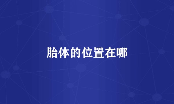 胎体的位置在哪